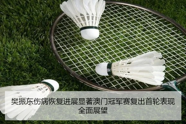 樊振东伤病恢复进展显著澳门冠军赛复出首轮表现全面展望