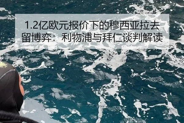 yi-ou-yuan-bao-jia-xia-de-mu-xi-ya-la-qu-liu-bo-yi-li-wu-pu-yu-bai-ren-tan-pan-jie-du-3-820.jpg