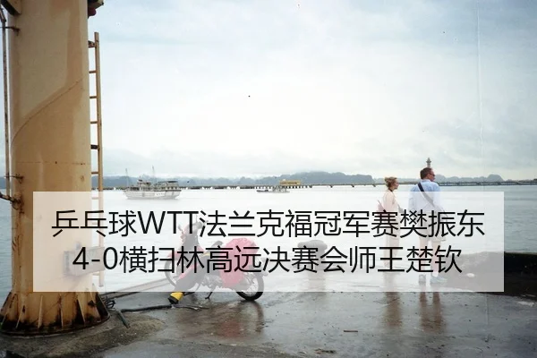 乒乓球WTT法兰克福冠军赛樊振东4-0横扫林高远决赛会师王楚钦